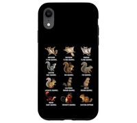Tableau d'identification des Types d'écureuils Espèces d'écureuils Coque pour iPhone XR