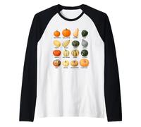 Tableau D'identification des Variétés De Citrouilles : Manche Raglan
