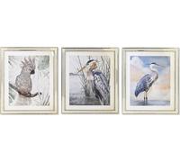 Tableau DKD Home Decor 40 x 1,6 x 60 cm Oiseaux méditerranéens (3 pièces)
