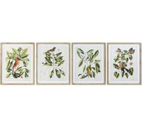 Tableau DKD Home Decor Bird 55 x 2,5 x 70 cm Oiseaux tropicaux (4 pièces)