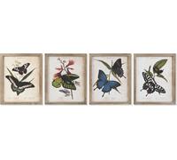 Tableau DKD Home Decor papillons 40 x 2 x 50 cm Shabby Chic (4 pièces)
