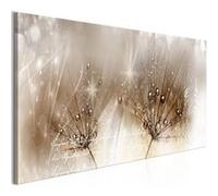 Tableau Drops of Dew (1 Part) Brown Narrow-Taille L 120 x H 40 cm