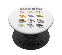 Tableau éducatif des espèces d'amphibiens Axolotls du Monde PopSockets PopGrip Adhésif