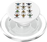 Tableau éducatif des espèces d'insectes sur Les Types d'abeilles PopSockets PopGrip pour MagSafe