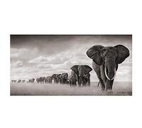 Tableau Elephant Noir Et Blanc. "Les éléphants font la queue pour migrer". Tableau Elephant Xxl Dans Cuisine & Maison. Impressions sur toile d'animaux drôles 30x60cm (11.8x23.7in) sans cadre
