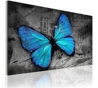 Tableau Non renseigné Tableau Etude d'un papillon-Taille L 60 x H 40 cm