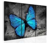Tableau Etude d'un papillon triptyque-Taille L 60 x H 40 cm Imprimé
