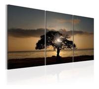 Tableau Extraordinary Nature-Taille L 120 x H 60 cm Imprimé G