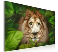 Tableau Eyes of the jungle-Taille L 60 x H 40 cm