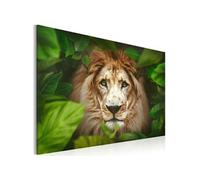 Tableau Eyes of the jungle-Taille L 90 x H 60 cm Multicolore G