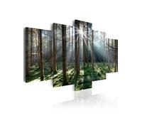 Tableau Fairytale Forest-Taille L 100 x H 50 cm