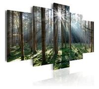 Tableau Fairytale Forest-Taille L 100 x H 50 cm Imprimé G