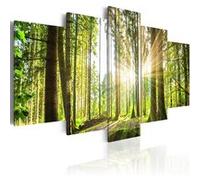 Tableau Forest Kingdom-Taille L 200 x H 100 cm