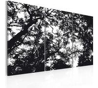 Tableau - Forêt dense - 90x60 Artgeist (2974) G