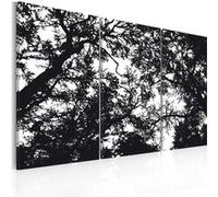 Tableau Forêt dense-Taille L 120 x H 80 cm Imprimé G