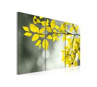 Tableau Gold sprig-Taille L 60 x H 40 cm Imprimé G