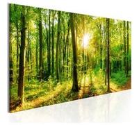 Tableau Green Magic-Taille L 150 x H 50 cm Imprimé G