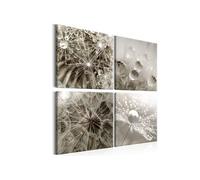 Tableau - Grey Dandelion - 40x40 (4721)