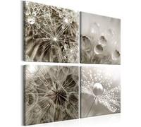 Tableau - Grey Dandelion - 40x40 Artgeist (4721) G