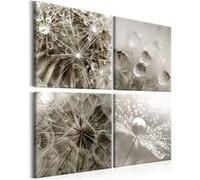 Tableau Grey Dandelion-Taille L 80 x H 80 cm Imprimé G