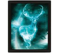 Tableau - Harry Potter - Expecto Patronum - Effet Animé 3D - Plastique Noir - 29x24x4 cm