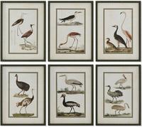 Tableau Home ESPRIT Oiseaux Cottage 40 x 2,5 x 54 cm (6 pièces)