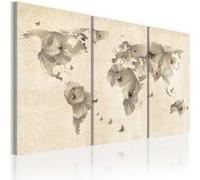 Tableau Artgeist Tableau - Atlas des papillons - triptyque - 90x60 (814)