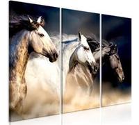 Tableau Imprimé 3 Panneaux "Sons of the Wind" 60 x 90 cm Multicolore G