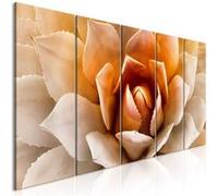 Tableau Imprimé 5 Panneaux "Agave Narrow Orange" 90 x 225 cm Multicolore G