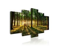 Tableau Imprimé "Adventure in the Woods" 50 x 100 cm