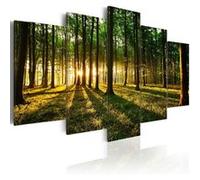 Tableau Imprimé "Adventure in the Woods" 50 x 100 cm Multicolore G