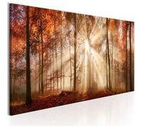 Tableau Imprimé "Autumnal Dawn" 45 x 135 cm Multicolore G