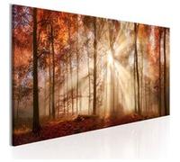 Tableau Imprimé "Autumnal Dawn" 50 x 150 cm Multicolore G