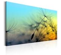 Tableau Imprimé "Ballad of the Wind" 80 x 120 cm