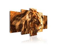 Tableau Imprimé "Beautiful Lion" 50 x 100 cm