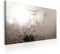 Tableau Imprimé "Beautiful Summer : Dandelions" 60 x 90 cm Multicolore G
