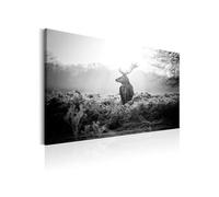 Tableau Imprimé "Black & White Deer" 60 x 90 cm Multicolore G