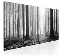 Tableau Imprimé "Black & White Forest" 40 x 120 cm Multicolore G