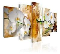 Tableau Imprimé "Brown Paint & Orchid" 50 x 100 cm Multicolore G