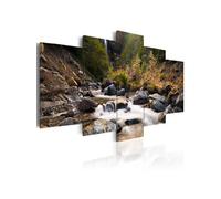 Tableau Imprimé "Cascade dans la Nature Vierge" 50 x 100 cm