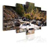 Tableau Imprimé "Cascade dans la Nature Vierge" 50 x 100 cm Multicolore G