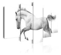 Tableau Cheval Passion et liberté-Taille L 100 x H 50 cm Imprimé