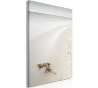 Tableau Imprimé "Coast" 60 x 90 cm