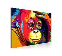 Tableau Imprimé "Colourful Orangutan Wide" 60 x 90 cm Multicolore G