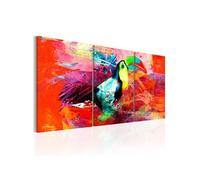 Tableau - Colourful Toucan - 60x30 (2445)