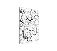 Tableau Imprimé "Cracked Earth" 40 x 60 cm