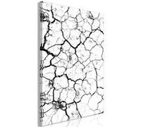 Tableau Imprimé "Cracked Earth" 40 x 60 cm