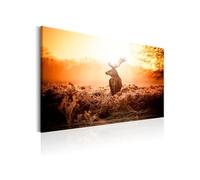 Tableau - Deer in the Sun - 90x60 (2926)