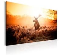 Tableau - Deer in the Sun - 90x60 (2926)