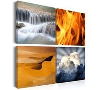 Tableau Imprimé "Diversité de la Nature" 40 x 40 cm Multicolore G